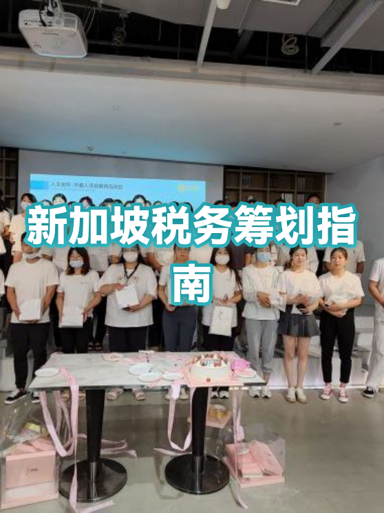 消费咨询税务筹划(消费税税务筹划)日照市