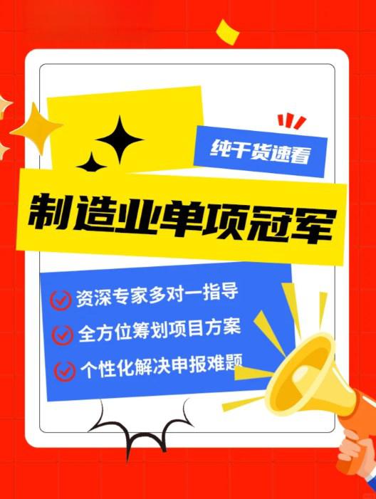 单项冠军申报辅导(单项冠军是什么意思)日照市