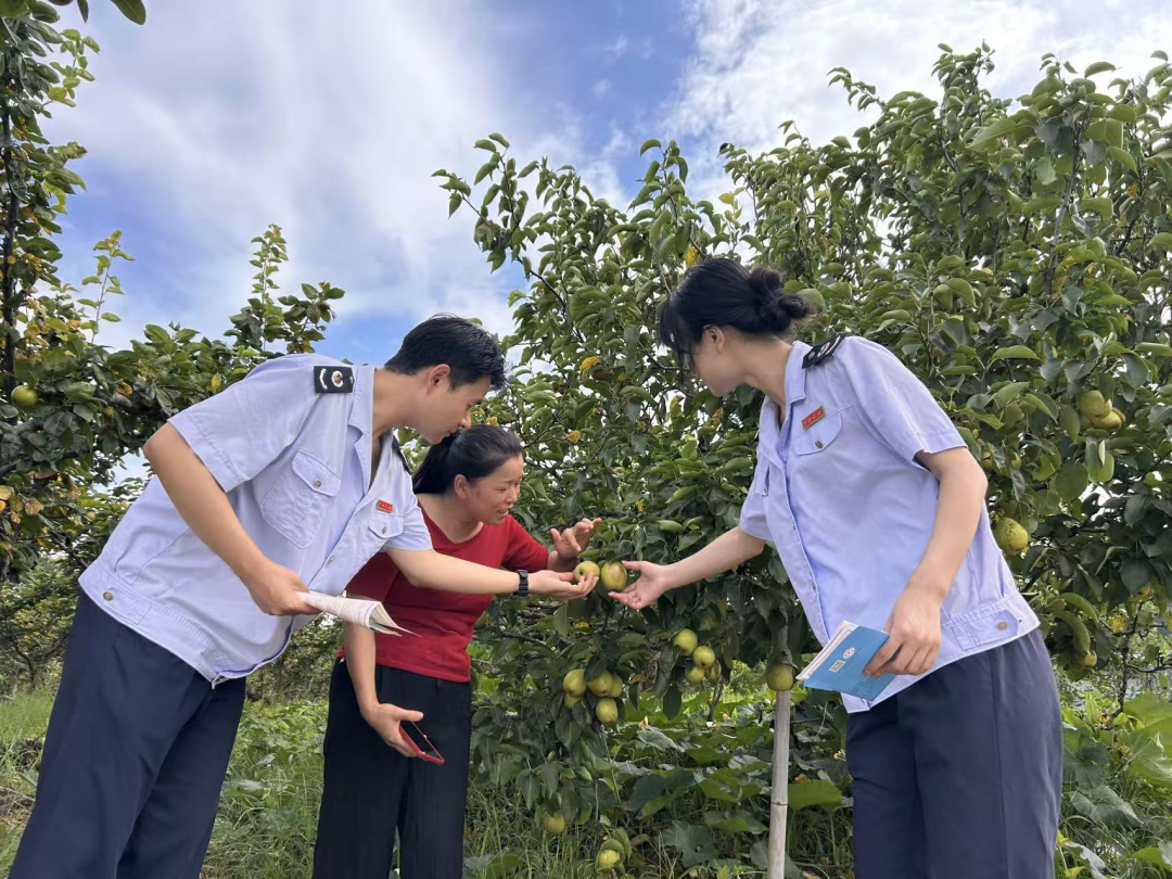 税务合规规范辅导(税务合规的规则体系)日照市