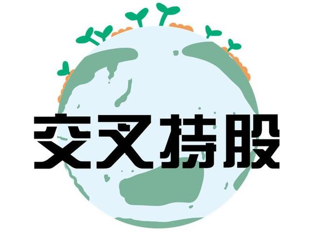 交叉持股安排设计(交叉持股怎么计算持股比例)日照市