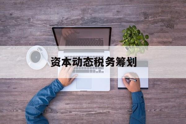资本动态税务筹划(资本动态税务筹划案例)日照市