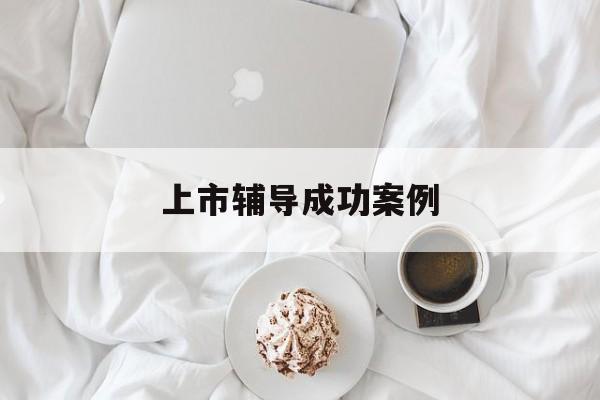 上市辅导成功案例(上市辅导成功后肯定会上市吗)日照市 上市辅导成功案例(上市辅导成功后肯定会上市吗)日照市