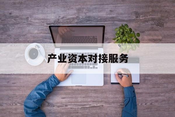 产业资本对接服务(产业资本对接服务包括哪些)日照市